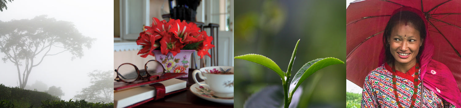 Monsoon Tea