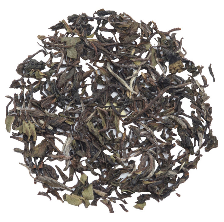 Glenburn Darjeeling First Flush Tea (2024 Harvest)