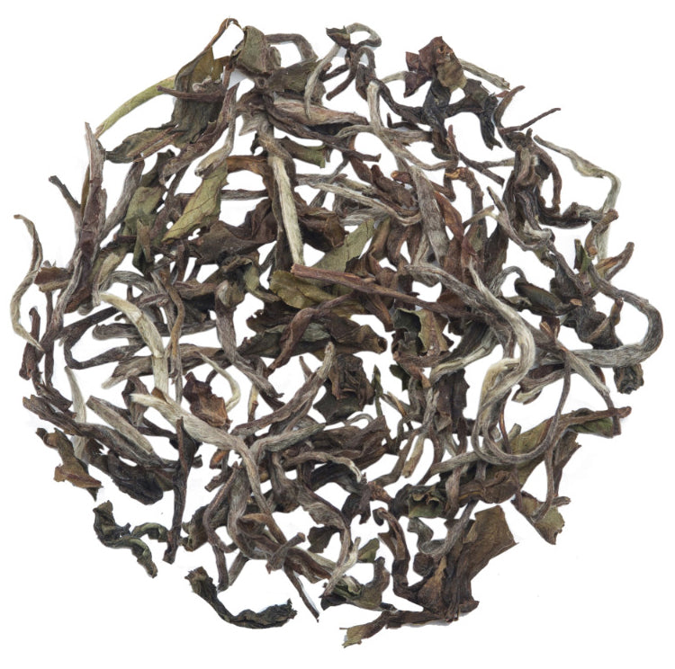 Glenburn Darjeeling Moonshine Tea (2024 Harvest)