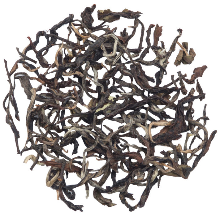 Glenburn Darjeeling Autumn Oolong Tea (2024 Harvest)