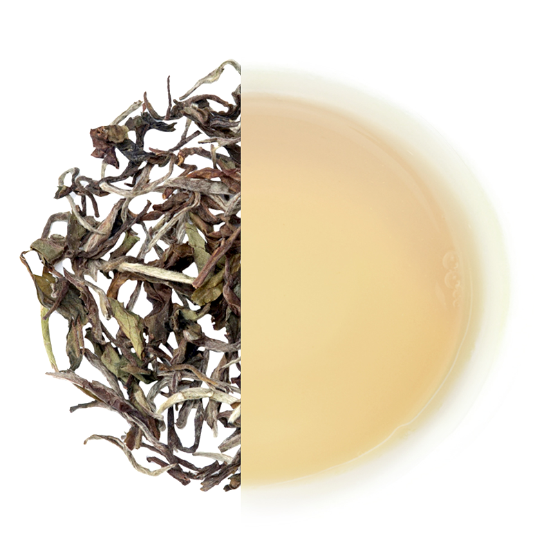 Glenburn Darjeeling White Peony Tea(2025 Harvest)