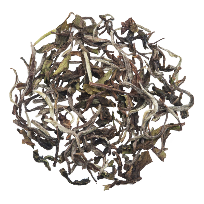 Glenburn Darjeeling White Peony Tea(2025 Harvest)