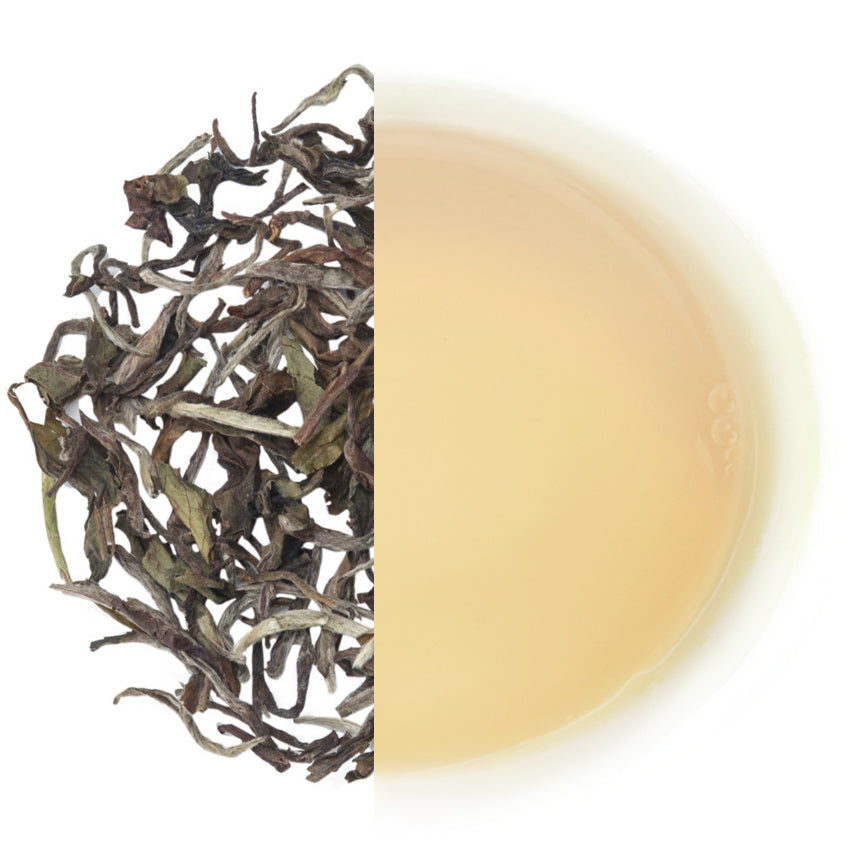 Glenburn Darjeeling Moonshine Tea (2024 Harvest)