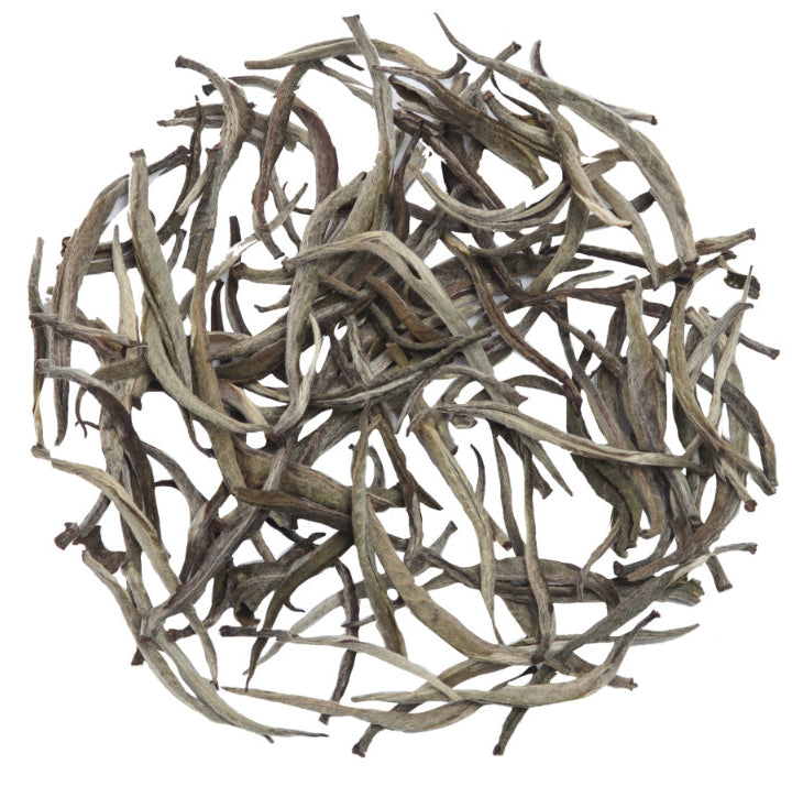 Glenburn Darjeeling Silver Needle White Tea