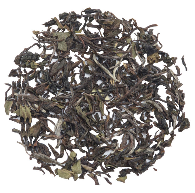 Glenburn Darjeeling First Flush Tea (2025 Harvest