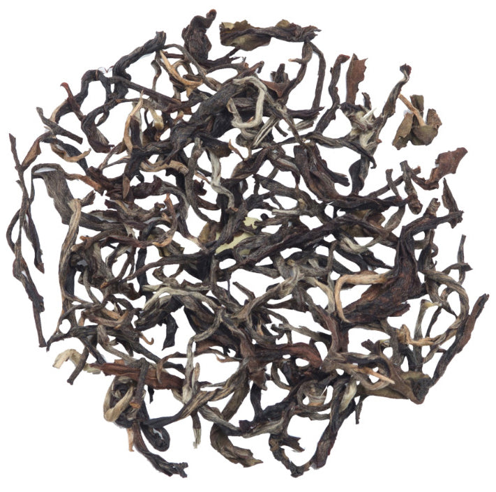Glenburn Darjeeling Autumn Oolong Tea Tin (2021 Harvest)