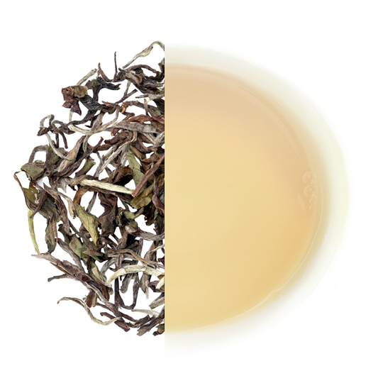 Glenburn Darjeeling White Peony Tea